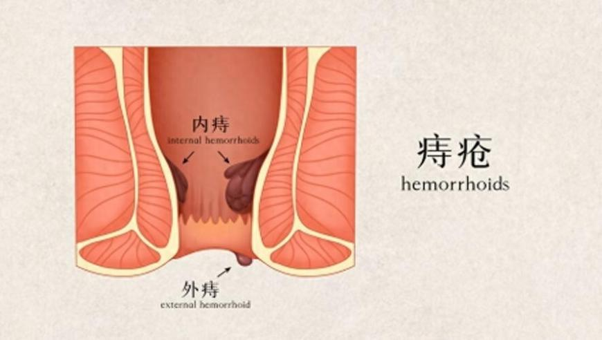 118跑狗論壇資料大全網(wǎng)頁,河南經(jīng)濟挑戰(zhàn)與機遇_影像版V11.87