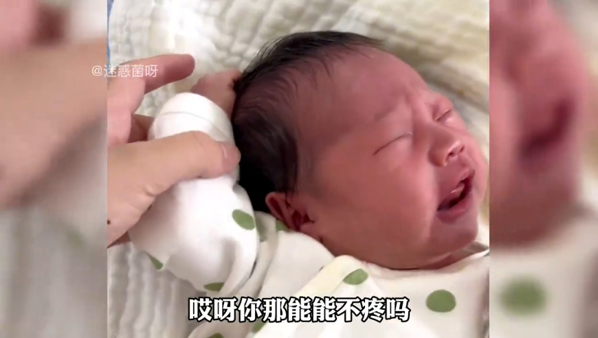 香港王中原創(chuàng)資料,海口警方處理虐貓謠言案件_權(quán)威版V10.91